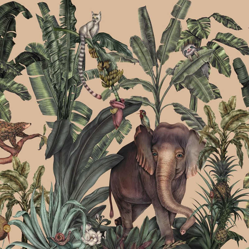 Jungle Kingdom | FE14001