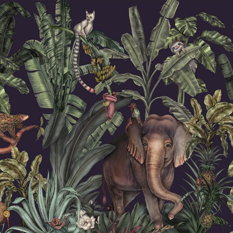 Jungle Kingdom | FE14001