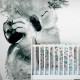 Koala Nap | FE02201