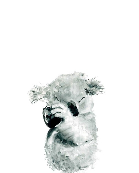 Koala Nap | FE02201 Koala Nap | FE02201