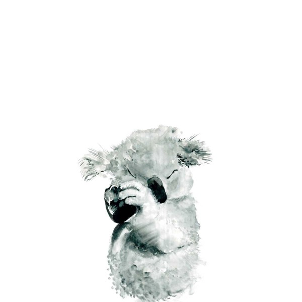 Koala Nap | FE02201