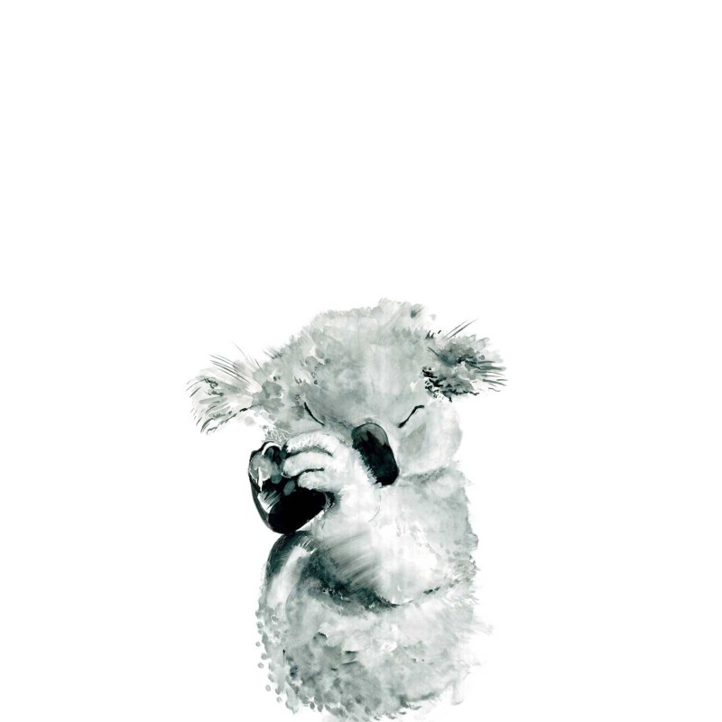 Koala Nap | FE02201