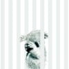 Koala Stripe | FE02301