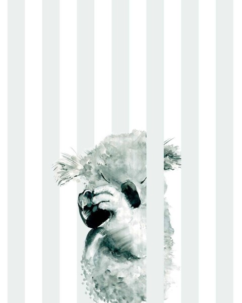 Koala Stripe | FE02301 Koala Stripe | FE02301