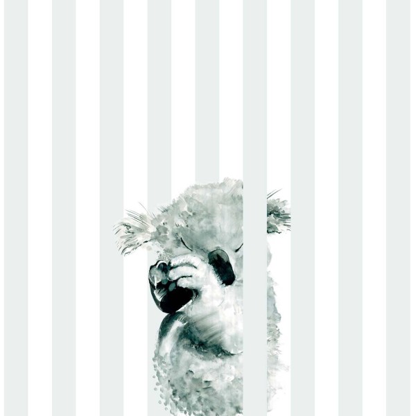 Koala Stripe | FE02301