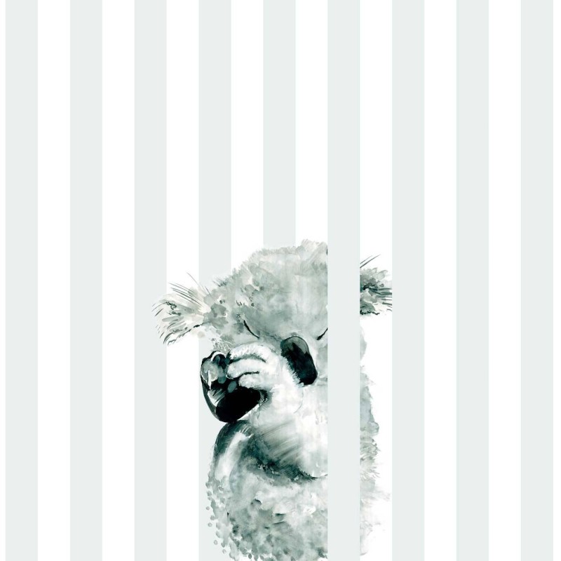 Koala Stripe | FE02301