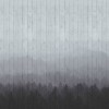 Norwegian Wood | LF005