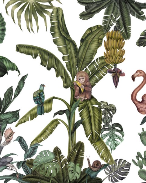 Monkeys with Birds | FE14201