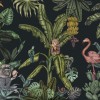Monkeys with Birds | FE14201