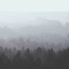 Oslo | LF001A