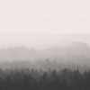 Oslo | LF001A