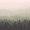 Oslo | LF001A