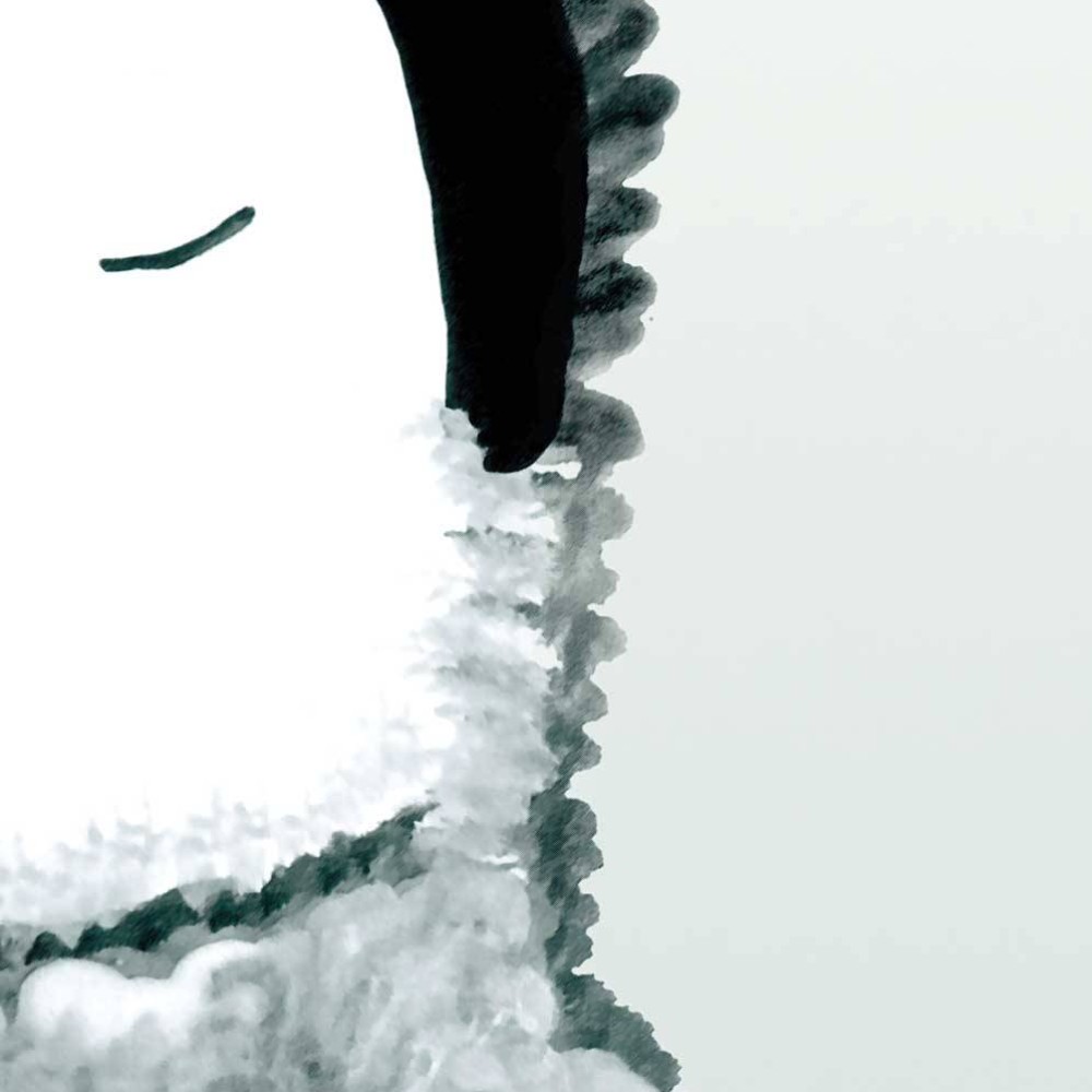 Penguin Ombre | FE02801
