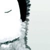 Penguin Ombre | FE02801