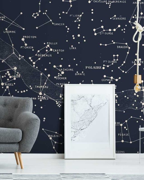 Polaire | FE04301 Polaire | FE04301