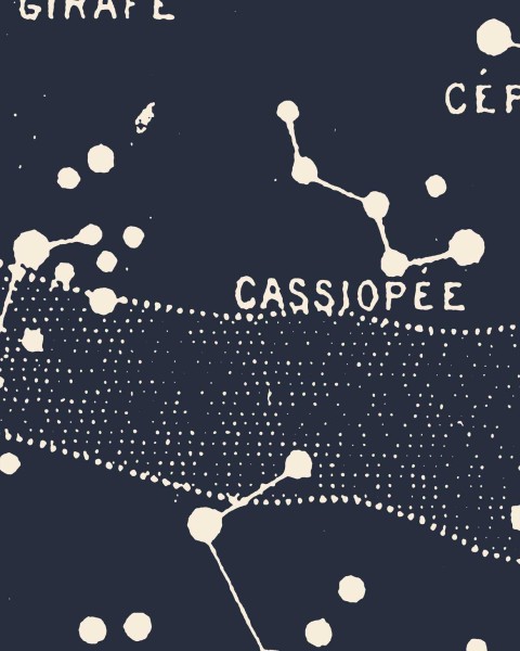 Polaire | FE04301 Polaire | FE04301