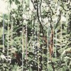 Raindrops | FE00701