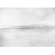 Venice Beach | LF019A