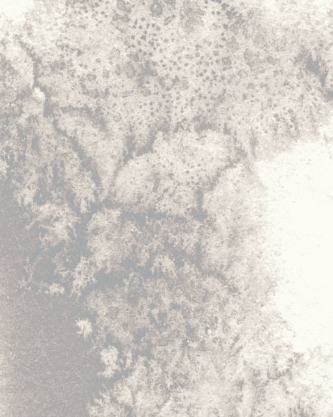 Feathr | In Between | fe49302