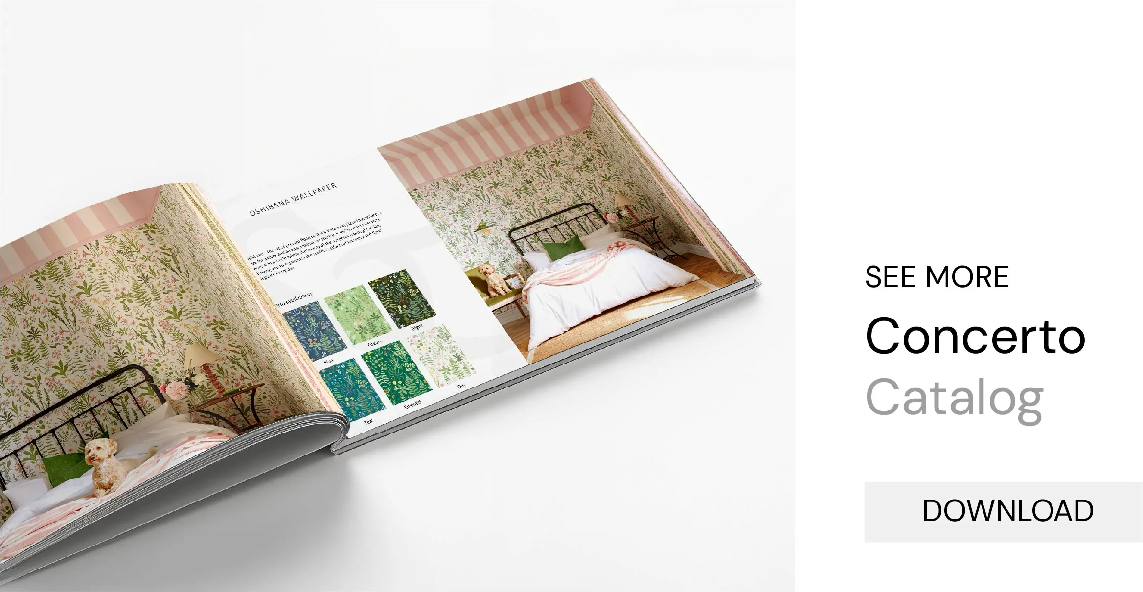 Concerto Catalog