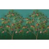 Graham & Brown | Abourm Bespoke Mural 