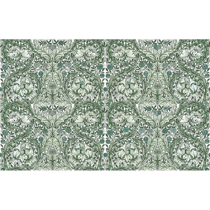 Graham & Brown | African Marigold Mural
