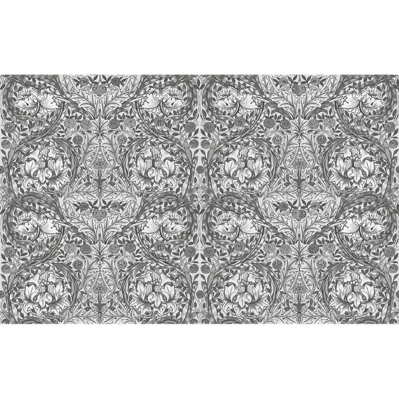 Graham & Brown | African Marigold Mural
