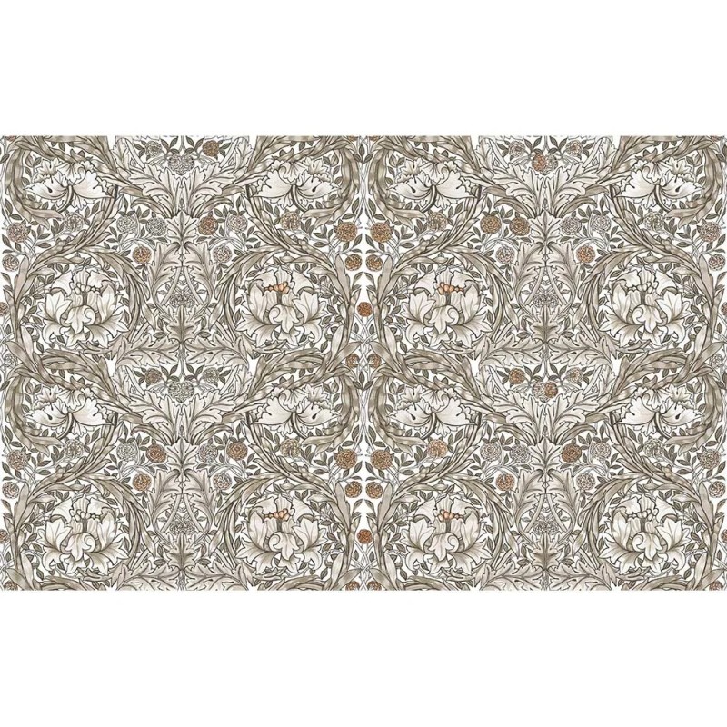 Graham & Brown | African Marigold Mural