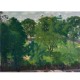 Graham & Brown | Buhler Carlyle Square Bespoke Mural 