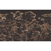Graham & Brown | Flower Press Bespoke Mural