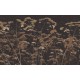 Graham & Brown | Flower Press Bespoke Mural