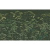 Graham & Brown | Flower Press Bespoke Mural