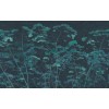 Graham & Brown | Flower Press Bespoke Mural