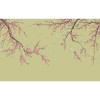 Graham & Brown | Sakura Bespoke Mural