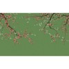 Graham & Brown | Sakura Bespoke Mural