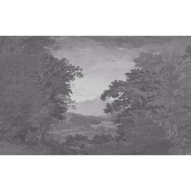 Graham & Brown | Sketch Forest Bespoke Mural