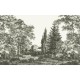 Graham & Brown | Stately Manor Bespoke Mural