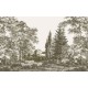 Graham & Brown | Stately Manor Bespoke Mural