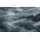 Graham & Brown | Vintage Cloud Bespoke Mural