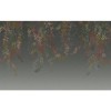  Graham & Brown | Virginia Creeper Bespoke Mural 