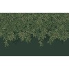 Graham & Brown | Willow Bough Mural