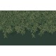 Graham & Brown | Willow Bough Mural