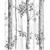 Graham & Brown | Albero Black And White | 106424