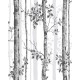 Graham & Brown | Albero Black And White | 106424