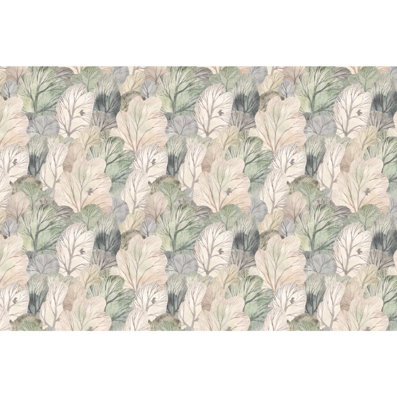 Rimura | Pluviale