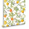Graham & Brown | Amalfi Wallpaper