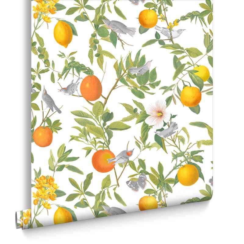 Graham & Brown | Amalfi Wallpaper