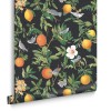 Graham & Brown | Amalfi Wallpaper