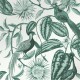 Graham & Brown | Amherst's Garden Wallpaper