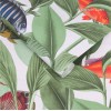 Graham & Brown | Aquarium Wallpaper